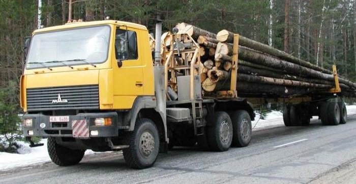 МАЗ-641808